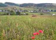 Нараїв з panoramio.com