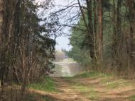 Вишевичі з panoramio.com