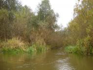 Малі Телковичі з panoramio.com