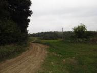 Панасівка з panoramio.com