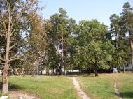 Гончарівське з panoramio.com