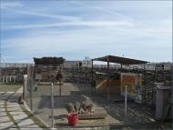 Грузьке з panoramio.com