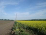 Черепова з panoramio.com