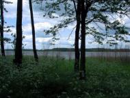 Веселе з panoramio.com