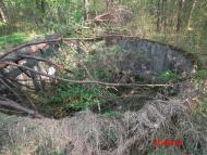 Дев'ятир з panoramio.com