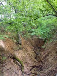 Поляна з panoramio.com