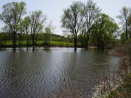 Старикове - Останні фото