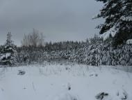 Гадяч - Останні фото