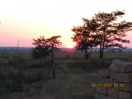 Тимашівка з panoramio.com