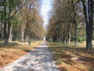 Будище з panoramio.com