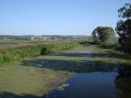 Новосілки з panoramio.com