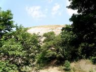 Княгинівка з panoramio.com