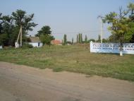 Весняна Квітка з panoramio.com