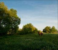 Мислова - Останні фото