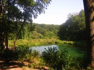Молодова з panoramio.com