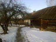 Кам'янівка з panoramio.com