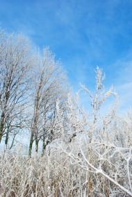 Коротич з panoramio.com