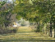 Кірове з panoramio.com