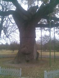 Будище з panoramio.com