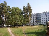 Гончарівське з panoramio.com