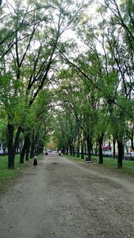 Менжинське з panoramio.com