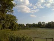 Самчики з panoramio.com