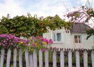 Нараїв з panoramio.com