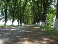 Веселе з panoramio.com