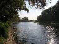 Новоселівка з panoramio.com