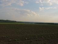 Губник з panoramio.com