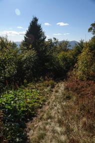 Щербовець з panoramio.com