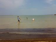 Сиваш з panoramio.com