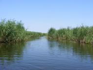 Кізомис з panoramio.com