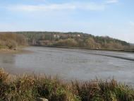 Вербка з panoramio.com