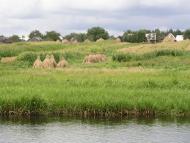 Боровне з panoramio.com