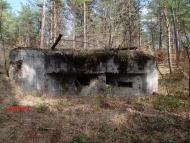 Дев'ятир з panoramio.com