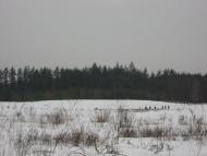 Червоний Шахтар - Останні фото