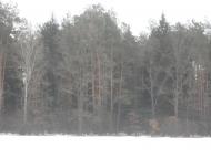 Жукля з panoramio.com