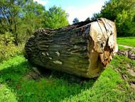 Малий Вистороп з panoramio.com