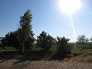 Тимашівка з panoramio.com