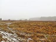 Рясне-Руське з panoramio.com