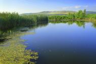 Орлівка з panoramio.com