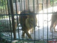 Рудківці з panoramio.com