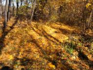 Будеї з panoramio.com