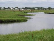 Боровне - Останні фото