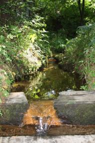 Тарасенки - Останні фото