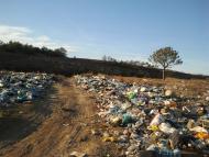 Некрасовка з panoramio.com