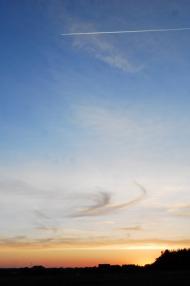 Сухоліси з panoramio.com