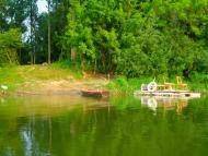 Вишеньки з panoramio.com