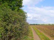 Коротич з panoramio.com